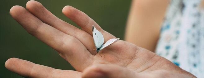 Life transitions and relationships support at Coral Psychology